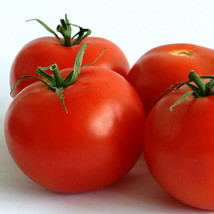 Cal Ace Tomato 20 Seeds Fresh Garden - £4.88 GBP