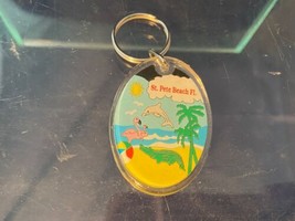 Florida Souvenir St. Pete Beach Gator Keychain Bag Clip Ocean Dophins Fl... - £9.63 GBP