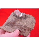 R408-B) 6 oz natural white Herkimer diamonds quartz crystals matrix NY s... - £33.82 GBP