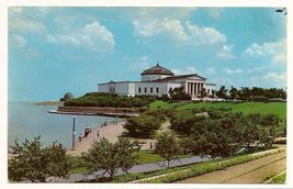 The Shedd Aquarium Chicago Illinois vintage Postcard Unused - $5.93