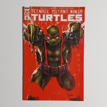 Teenage Mutant Ninja Turtles 132 VF/NM 2023 IDW Tao Trade Dress Red TMNT - £12.50 GBP