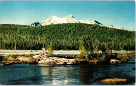 Tuolmne Meadows Yosemite National Park California Postcard 1971 - £8.87 GBP