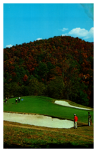 The Homestead Cascade Golf Course 8th Green Hot Springs Virginia Postcard - £3.86 GBP
