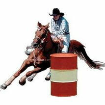 Rivers Edge Rodeo Barrel Horse Racer Magnetic Auto Truck Safe Non-Adhesi... - €12,94 EUR