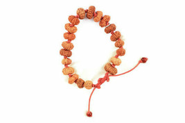 14 Mukhi Rudraksha Bracelet / Maha Bali Hanuman Bracelet / 20 Beads Java... - $1,311.81