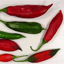 USA SELLER Capsicum Baccatum Usda #596056 Hot Peppers Seeds Fast Shipping - $9.80