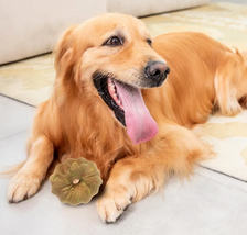 Draftoria  Molar-Bite Resistant Pet Toys 2pcs - $25.00