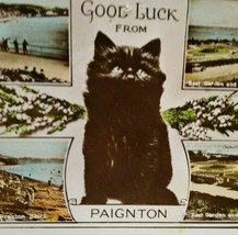 Black Cat Postcard Good Luck From Paignton RPPC Real Photo Nign Ventnor ... - $18.23