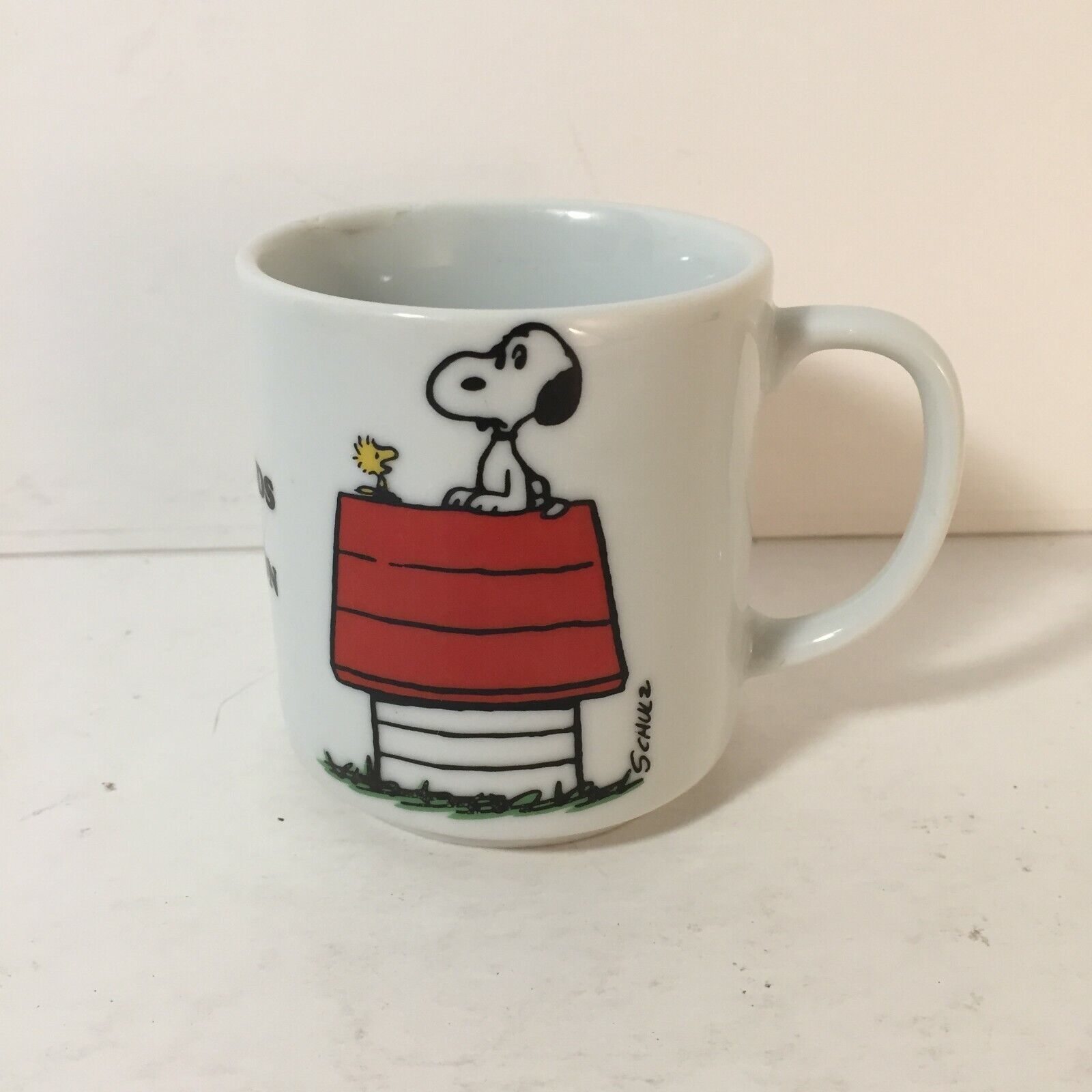 Snoopy & Woodstock Peanuts Mug No One Understands My Generation Coffee Mug Japan - $21.76