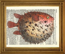 Vintage Diccionario Página Estampado: Acolchado Pescado Sushi Mar Art, Spiky Red - £5.25 GBP