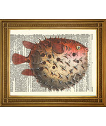 Vintage Diccionario Página Estampado: Acolchado Pescado Sushi Mar Art, S... - £5.20 GBP