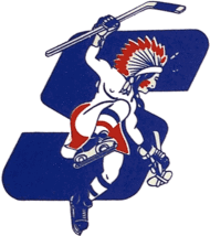 Springfield Indians 1975-1979 Logo AHL Hockey Mens Polo XS-6XL, LT-4XLT New - £20.11 GBP+