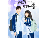 A Little Thing Called First Love (2019) Chinese Drama - $74.00