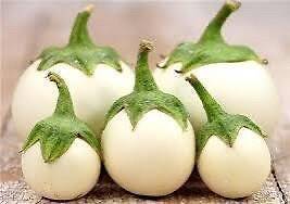 20 Japanese white sweet eggplant vegetable plant seeds flowers - $8.49
