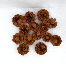 14 Natural Pine Cones In Polyurethane - £7.09 GBP