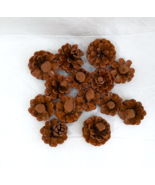 14 Natural Pine Cones In Polyurethane - £6.69 GBP