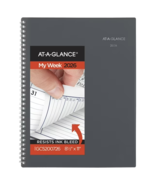 AT-A-GLANCE (GC520-07) DayMinder 2026 Weekly/Monthly Appointment Book , ... - €21,17 EUR