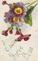 Vintage Postcard Purple Flowers Susie From Vera Early 1900&#39;s - $7.91