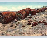 Petrified Forest Hobrook Arizona AZ UNP Unused Linen Postcard E15 - $3.02