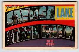 Greetings From Cayuga Lake State Park New York Postcard NY Large Letter Linen - £9.46 GBP