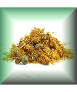 Arnica Flowers Whole Dried Herb - $82.63 CAD+