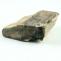 Petrified Wood South Dakota 1 lb 5.6 oz 4” x 4" x 1.4" Wooden Rock Stone Fossil image 3