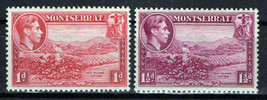 Montserrat 93a, 94a MH Agriculture Cotton Zayix Stamps 0225S0390 - £4.70 GBP