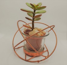 Baby Jade Succulent in Rose Gold Planter, Crassula Plant, Metal Glass Pot, 4" image 5