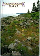 Acadia National Park on Great Head Maine Postcard - £4.69 GBP