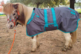 1200D Lightweight Miniature Weanling Donkey Pony Foal Horse Sheet 51504 - $62.99