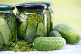 National Pickling Cucumber 25 Seeds Heirloom great for Dill pickles heav... - $1.95