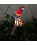 Led Solar Garden Lights Parrot Lamp for Pathway Landscape Yard Patio Law... - $22.00