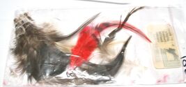 Feather Random Assortment Crafting/DIY Projects/Fly Tying/Décor #501 - €3,36 EUR