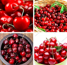 115afd531beab586 thumb200