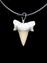 Otodus Tooth Real Shark Necklace Fossil Pendant Great White Megalodon Ancestor - £7.08 GBP