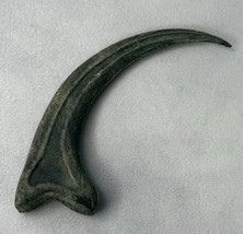 Jurassic Park Velociraptor Claw Fossil, Prop, Raptor, Hand Painted, Weat... - $24.45