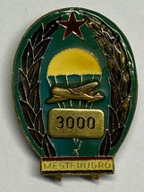 Hungary, Master, Parachutist, Para Wing, Communist Era, 3000 Jumps, Vintage - £34.99 GBP