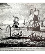 Artctic Whaling Dutch Harpooning 1926 Nautical Antique Print Whale Hunti... - $474.98 MXN
