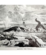 Lancing The Whale At Sea 1926 Nautical Antique Print Whale Hunting DWW4A - $474.98 MXN