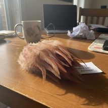 100PCS Rooster Saddle Hackle Feathers for Crafts, 6-7 Inch, Dyed Light P... - $21.17 CAD