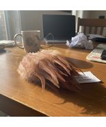 100PCS Rooster Saddle Hackle Feathers for Crafts, 6-7 Inch, Dyed Light P... - $21.17 CAD