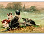 Adorable Cats Kittens Drinking Water 1910 DB Postcard Q19 - $7.87