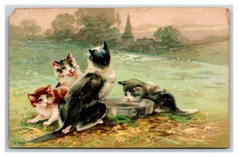 Adorable Cats Kittens Drinking Water 1910 DB Postcard Q19 - £6.19 GBP