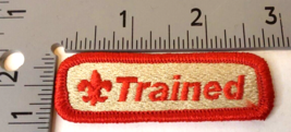 Official Boy Scout Cub Scout BSA Red And Tan Uniform Trained Patch - £1.17 GBP