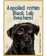 A spoiled rotten Black Lab lives here! Wood Fridge Magnet 2.5 x 3.5 Gift... - £4.61 GBP