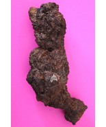 Giant Lizard Poop 5 Million Years Old Coprolite Genuine Fossil Dino Girl... - $47.85 CAD