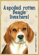 A spoiled rotten Beagle lives here! Wood Fridge Magnet 2.5 x 3.5 Gift Lo... - $4.99