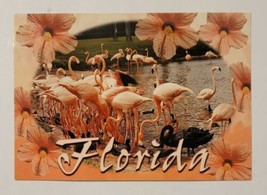 Vintage Florida Postcard w/ Pink Flamingos Hibiscus John Hinde Curteich UNUSED - £6.24 GBP