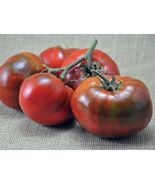 Paul Robeson Tomato, 30 Seeds, BUY 2 &amp; GET 3, NON-GMO, Beefsteak Type, F... - $36.18 MXN