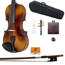 Paititi Solid Wood Student Violin Start Kit with Case, Bow, Rosin, Strin... - £71.76 GBP+